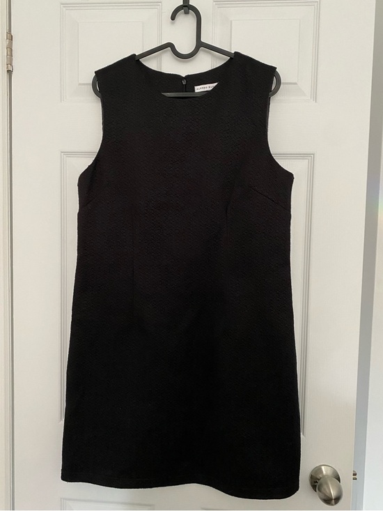 ALFRED SUNG Dresses & Skirts - ALFRED SUNG Black Sleeveless Mini Shift Dress